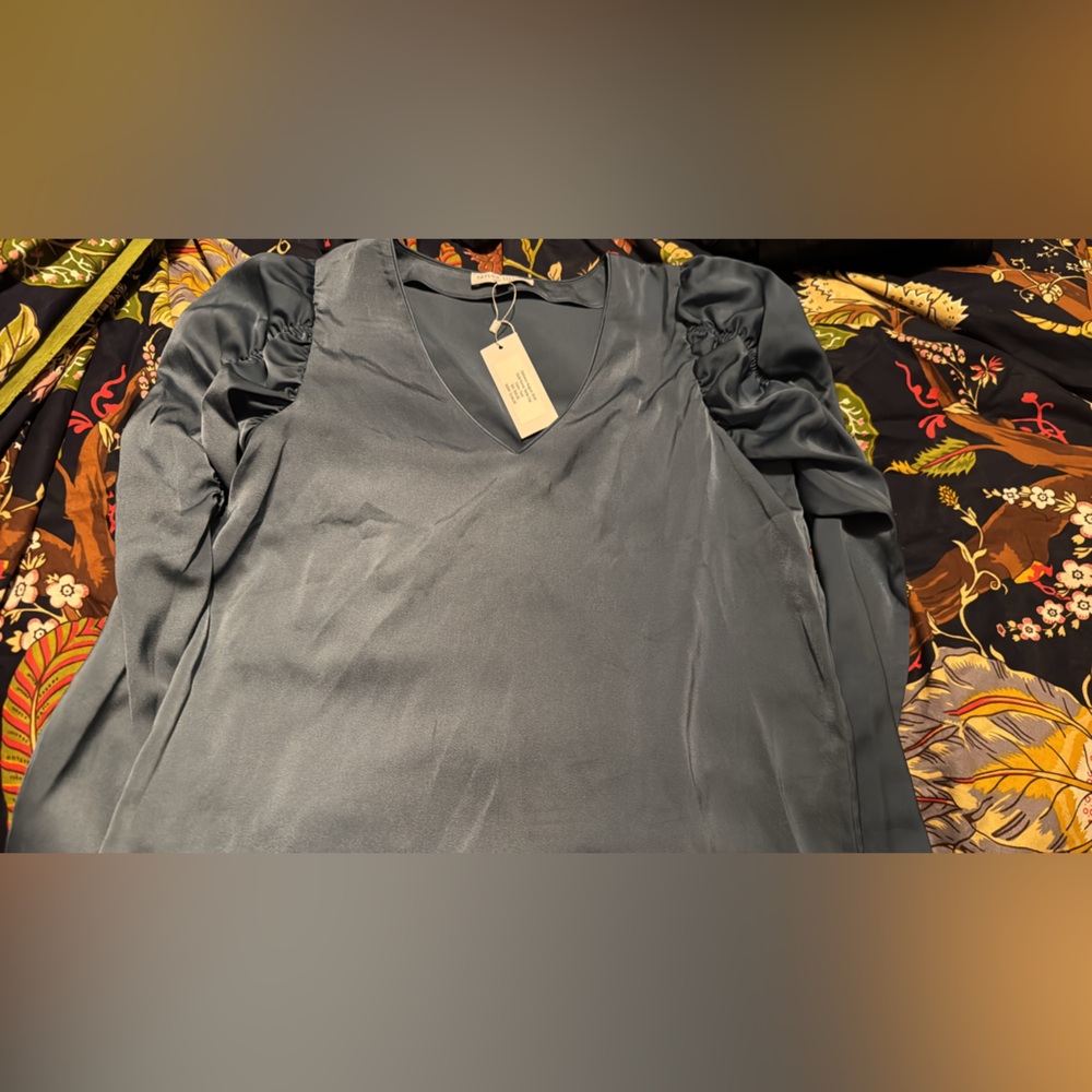 Nwt Taylor Tillman blouse